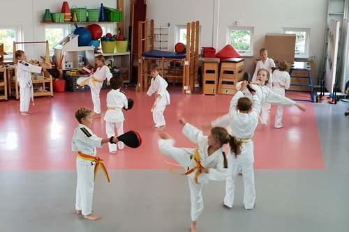 Kinderen oefenen karate