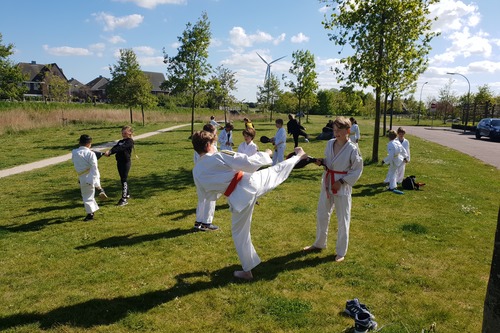 Kinderen oefenen karateschop